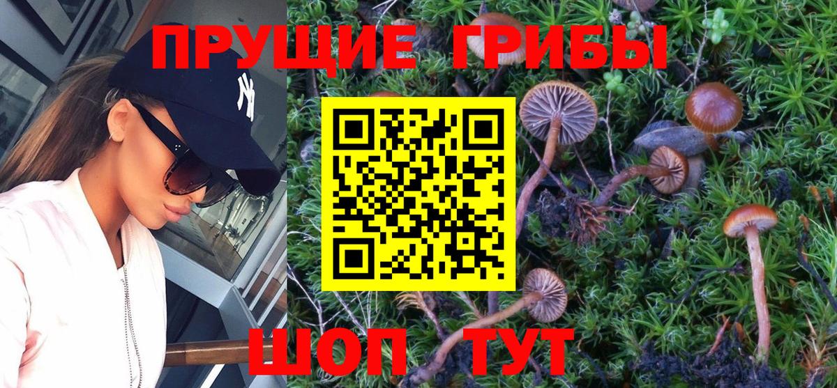 Раменское  Галлюциногенные грибы GOLDEN TEACHER  Галлюциногенные грибы мухоморы  Вход с VPN 