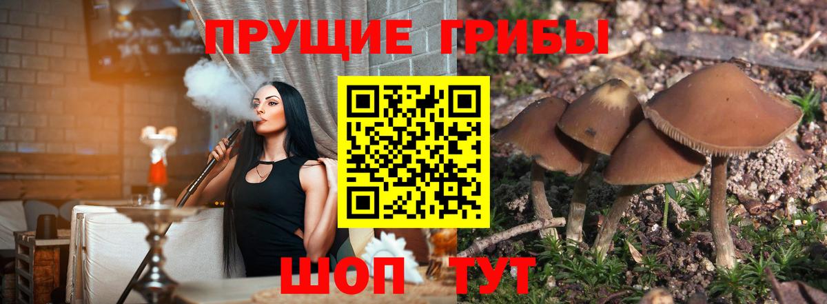 Галлюциногенные грибы Cubensis Раменское